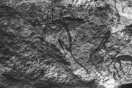 NMSA 03 78N