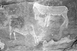NMSA 03 225P