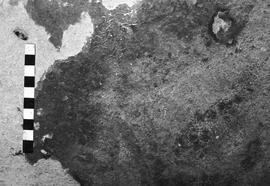 NMSA 03 4612P