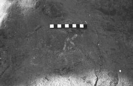NMSA 03 2579P