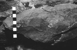 NMSA 03 5185P