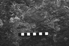 NMSA 03 2702P