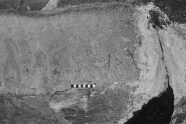 NMSA 03 1379P