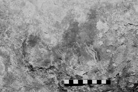 NMSA 03 6139P