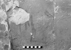 NMSA 03 8281P