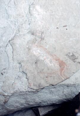 NMSA 02 286P