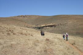 NMSA RSA GEO4 1D