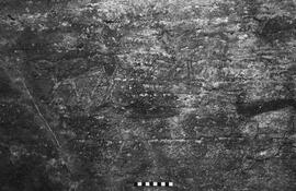 NMSA 03 6332P