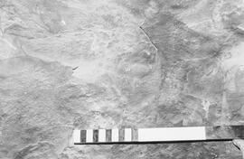 NMSA 03 776P
