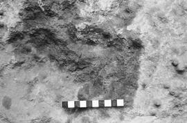 NMSA 03 1724P