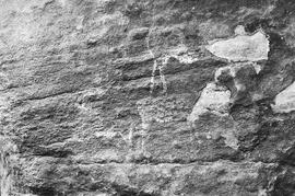 NMSA 03 218P