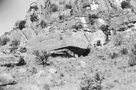 NMSA 03 2247P
