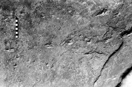 NMSA 03 4123P