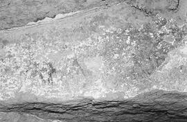 NMSA 03 173P