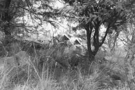 NMSA 03 7487P