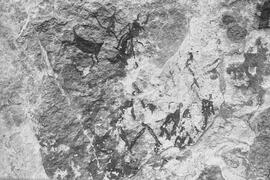 NMSA 03 7862P