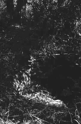 NMSA 03 611P