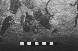 NMSA 03 5373P