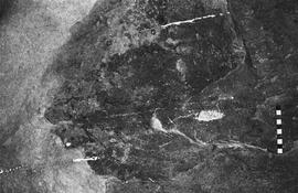 NMSA 03 5765P