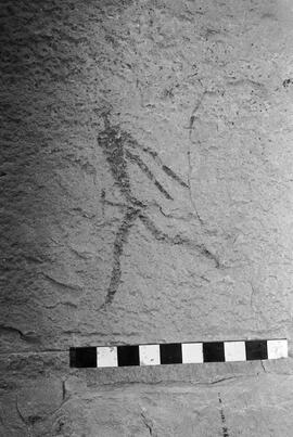 NMSA 03 4241P