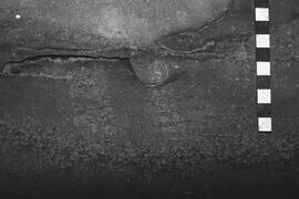 NMSA 03 4463P