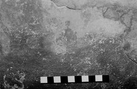 NMSA 03 5317P