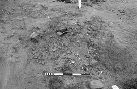 NMSA 03 521P