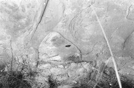 NMSA 03 2822P