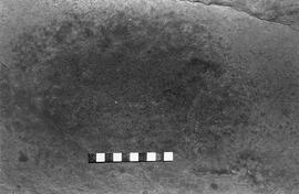 NMSA 03 1564P
