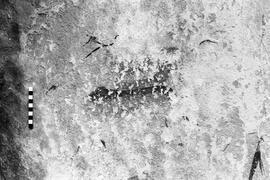 NMSA 03 3268P