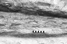 NMSA 03 1068P