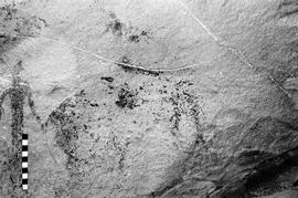 NMSA 03 4246P