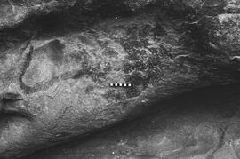 NMSA 03 3021P