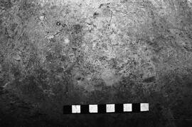 NMSA 03 4074P