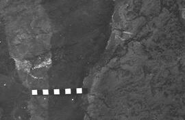 NMSA 03 2735P