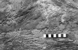 NMSA 03 329P