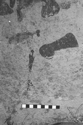 NMSA 03 5378P