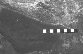 NMSA 03 2838P