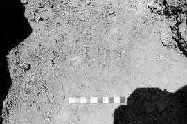 NMSA 03 8044P