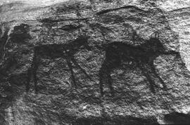 NMSA 03 76N