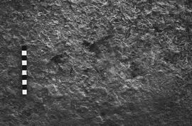 NMSA 03 3005P
