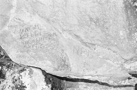 NMSA 03 1281P