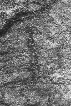NMSA 03 213P