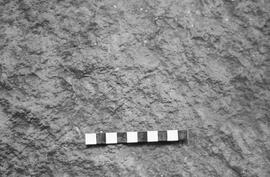 NMSA 03 1744P