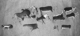 NMSA 03 7709P