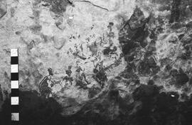 NMSA 03 4529P