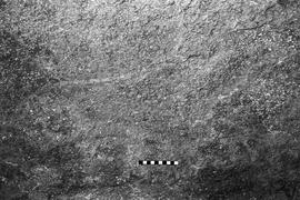 NMSA 03 5608P