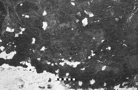 NMSA 03 6906P