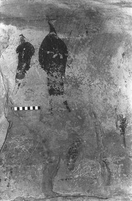 NMSA 03 1448P