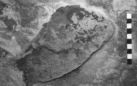 NMSA 03 5311P